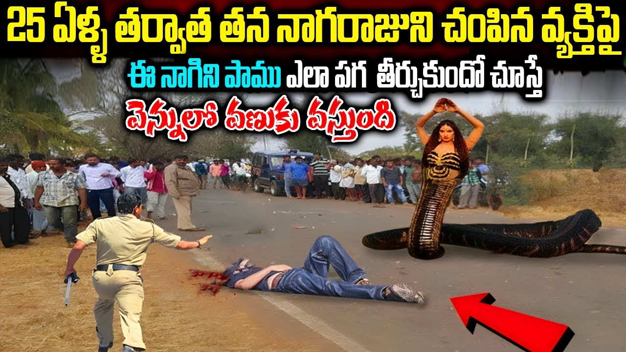 ఉత్తరప్రదేశ్ లో తన పాముని చ0పిన వ్యక్తిపై 25 ఏళ్ల తర్వాత ఈ నాగిని ఎలా పగ తీర్చుతుందో చూడండి ||