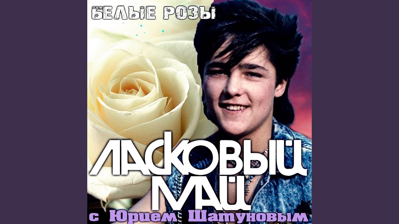 Бездомный пёс