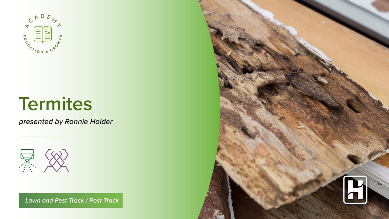 Academy 2023: Ronnie Holder: Termites