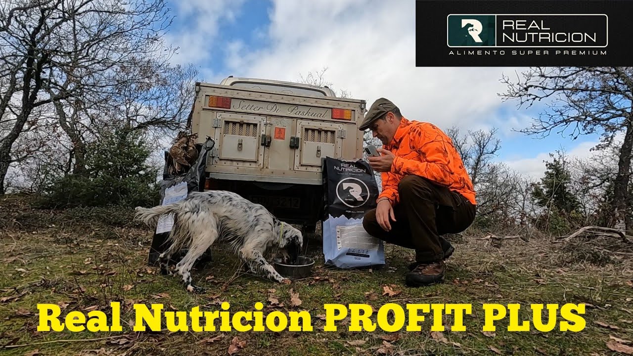 Τροφή για σκύλους που κάνει την διαφορά.Real nutrition profit plus super premium dogs food 