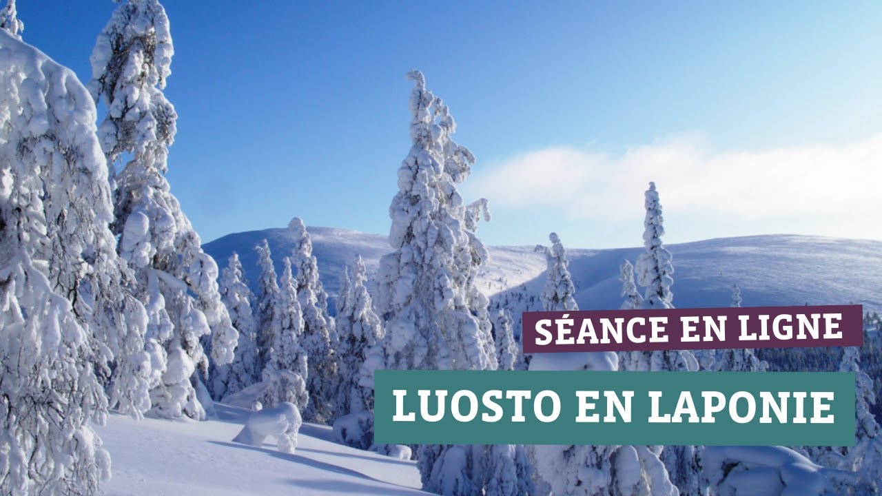 Luosto, une destination hivernale idéale  On vous dit tout !