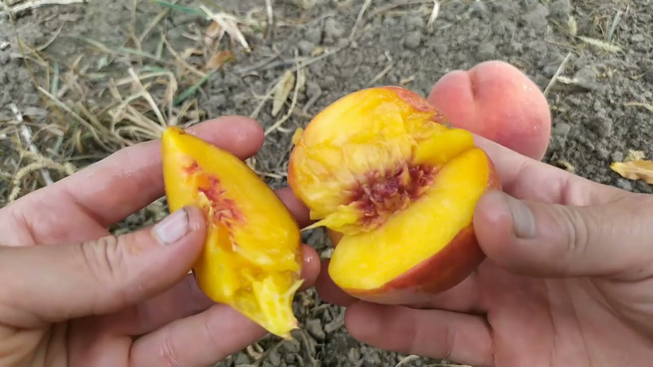 екстрим 436 і екстрим світ