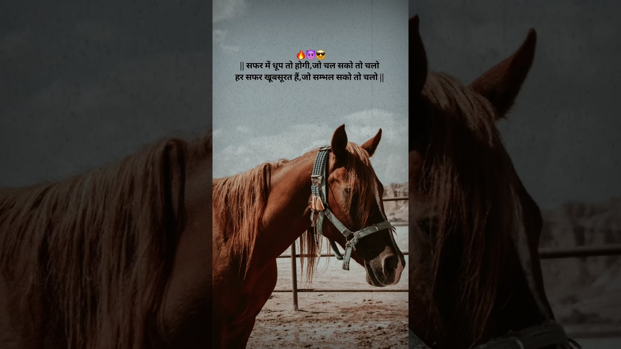 || motivation line🔥😎 || 