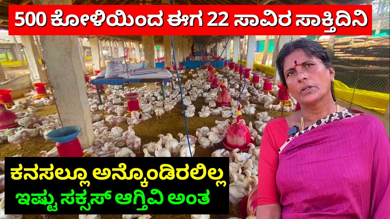 ಇಷ್ಟು ಸಕ್ಸಸ್ ಆಗ್ತಿವಿ ಅಂತ ಕನಸಲ್ಲೂ ಅನ್ಕೊಂಡಿರಲಿಲ್ಲ | Broiler poultry farming in kannada | Koli farm