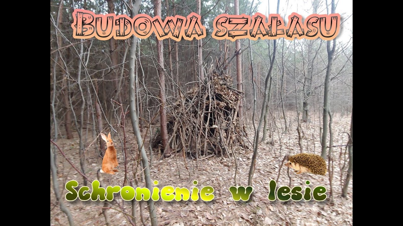 Leśny Survival /Budowa szałasu cz. 1
