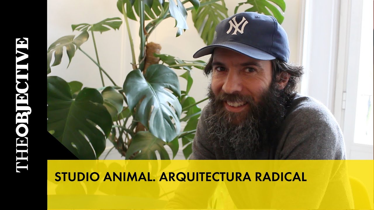 Studio Animal. Arquitectura radical