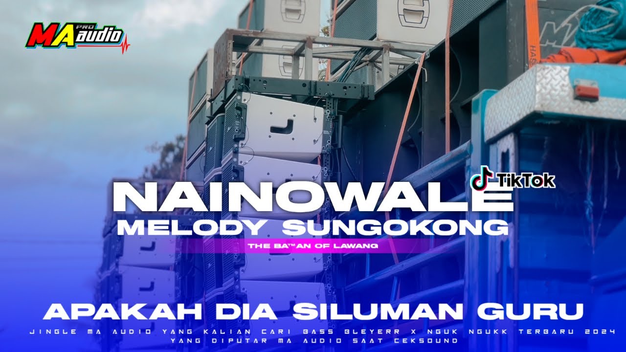 DJ PARTY NGUK NAINOWALE X MELODY SILUMAN || DJ VIRAL TIKTOK TERBARU 2024 yang kalian Cari #maaudio