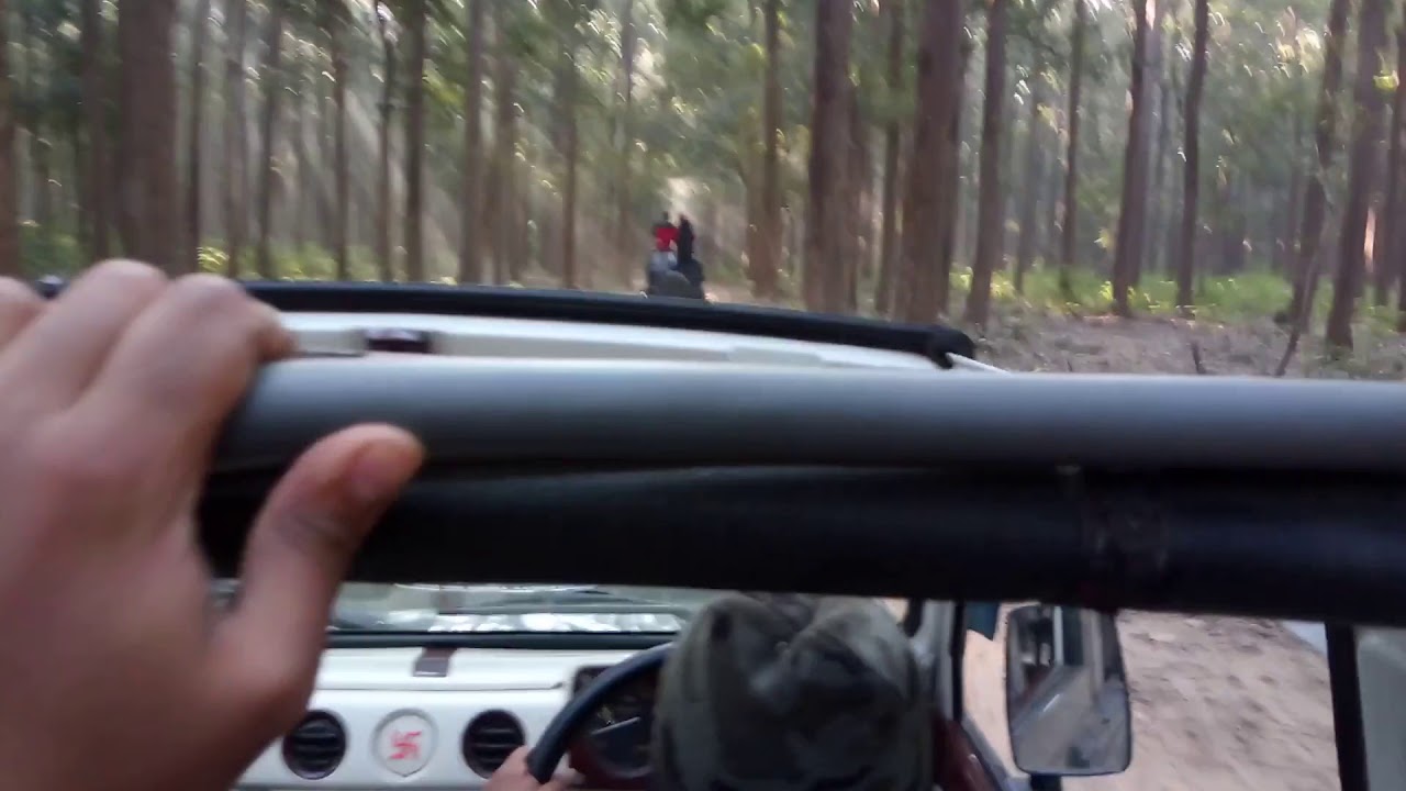 jim corbett | Tiger versus elephant fight