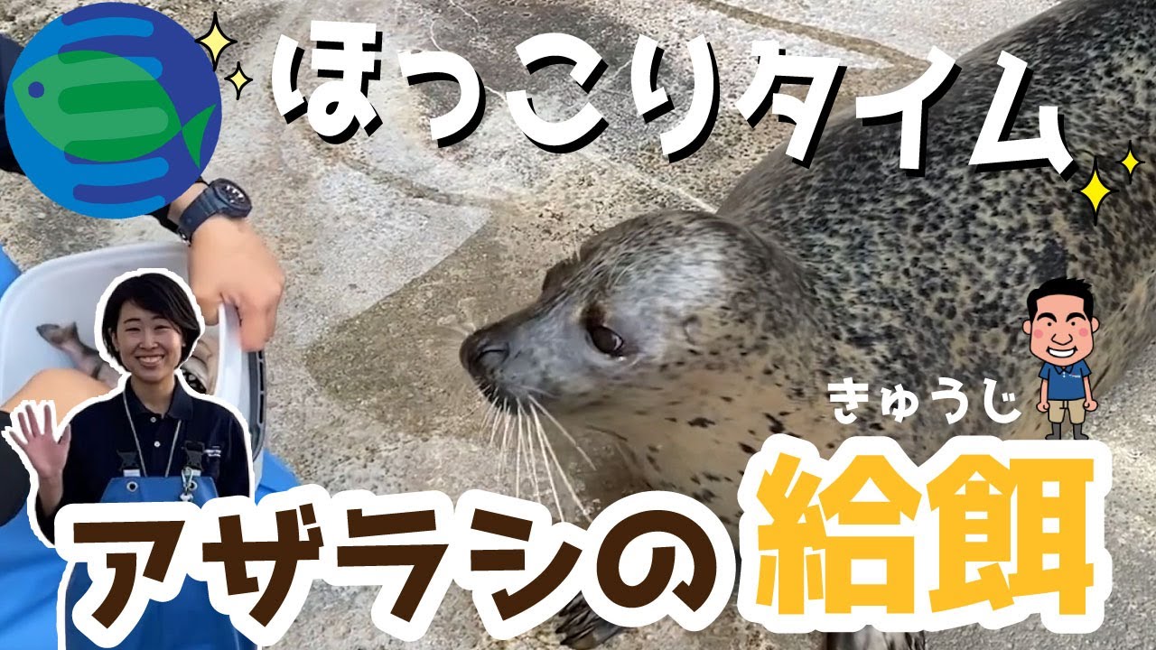 【すばる君企画】アザラシの給餌のひみつ！アザラシのごはんってどうやってあげてるの！？