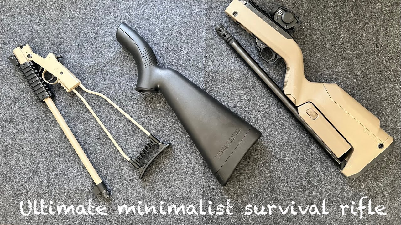 Минималистичная винтовка для выживания 22LR, часть 1 — настольная — Little Badger, 10/22 TD, Henr...