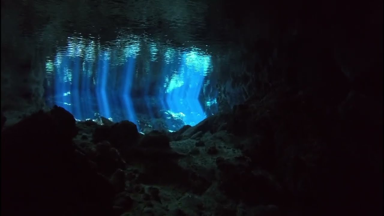 Diving 