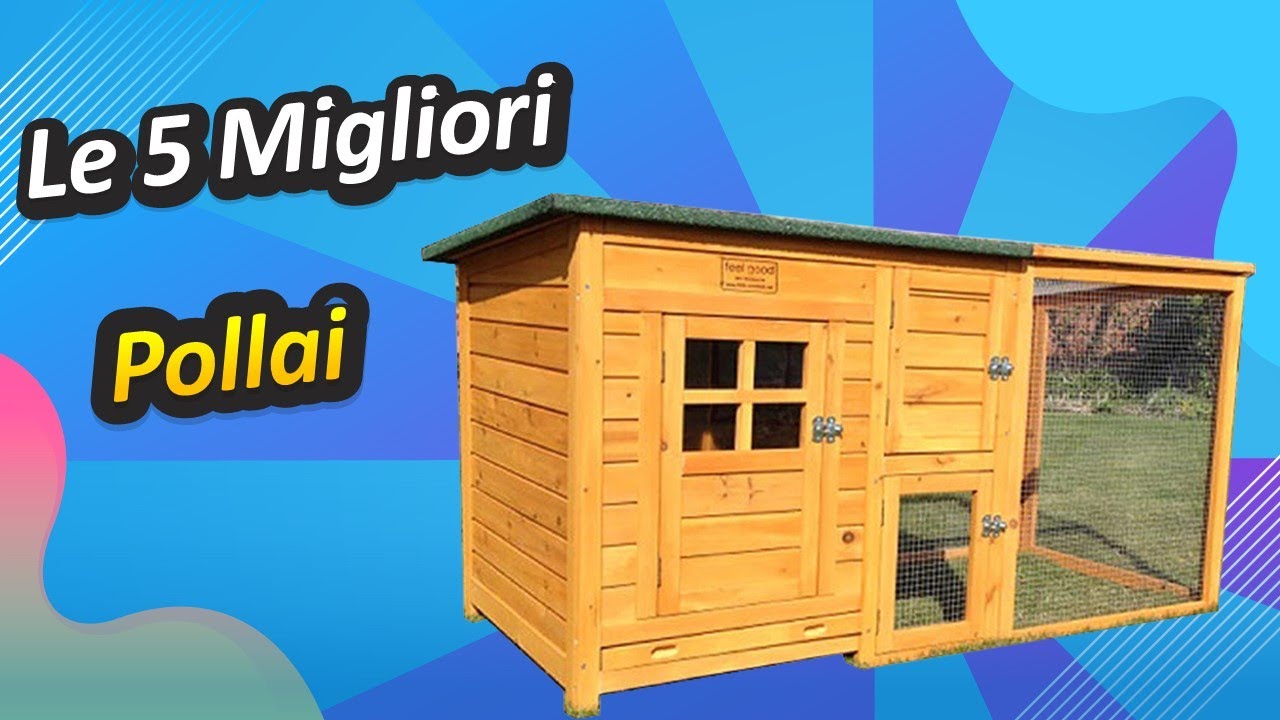 Le 5 Migliori Pollai