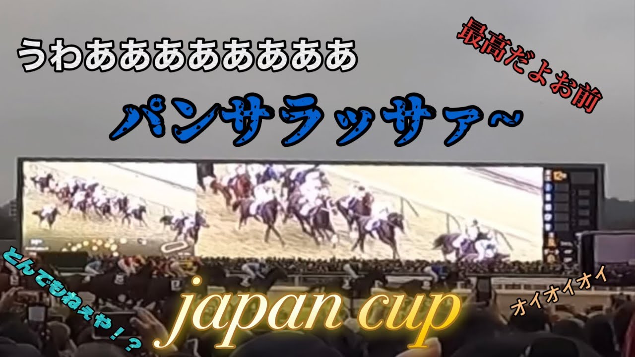 パンサラッサ大好き男によるジャパンカップ現地映像