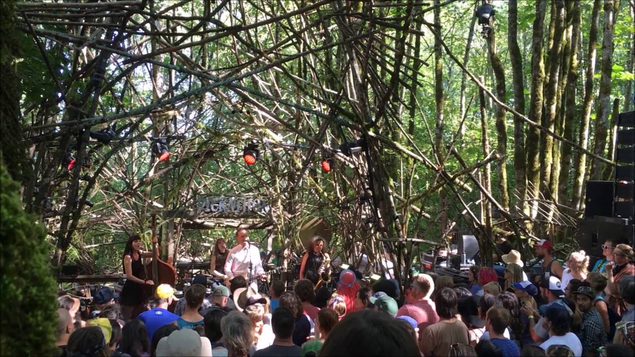 C.W. Stoneking - Live at P!ckath0n, Wo0ds Stage 8/6/2016