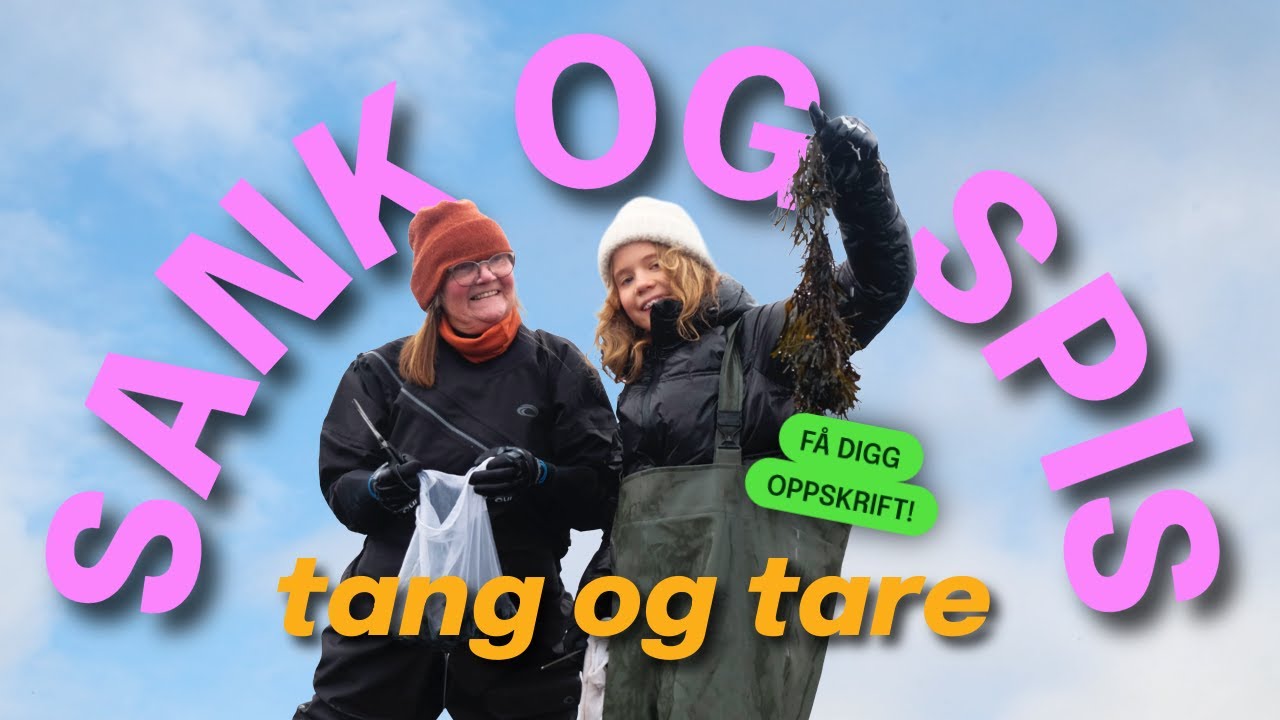 Visste du at tang og tare kan bli en viktig matvare i framtida? Slik kan du sanke din egen tang! 💚🦀