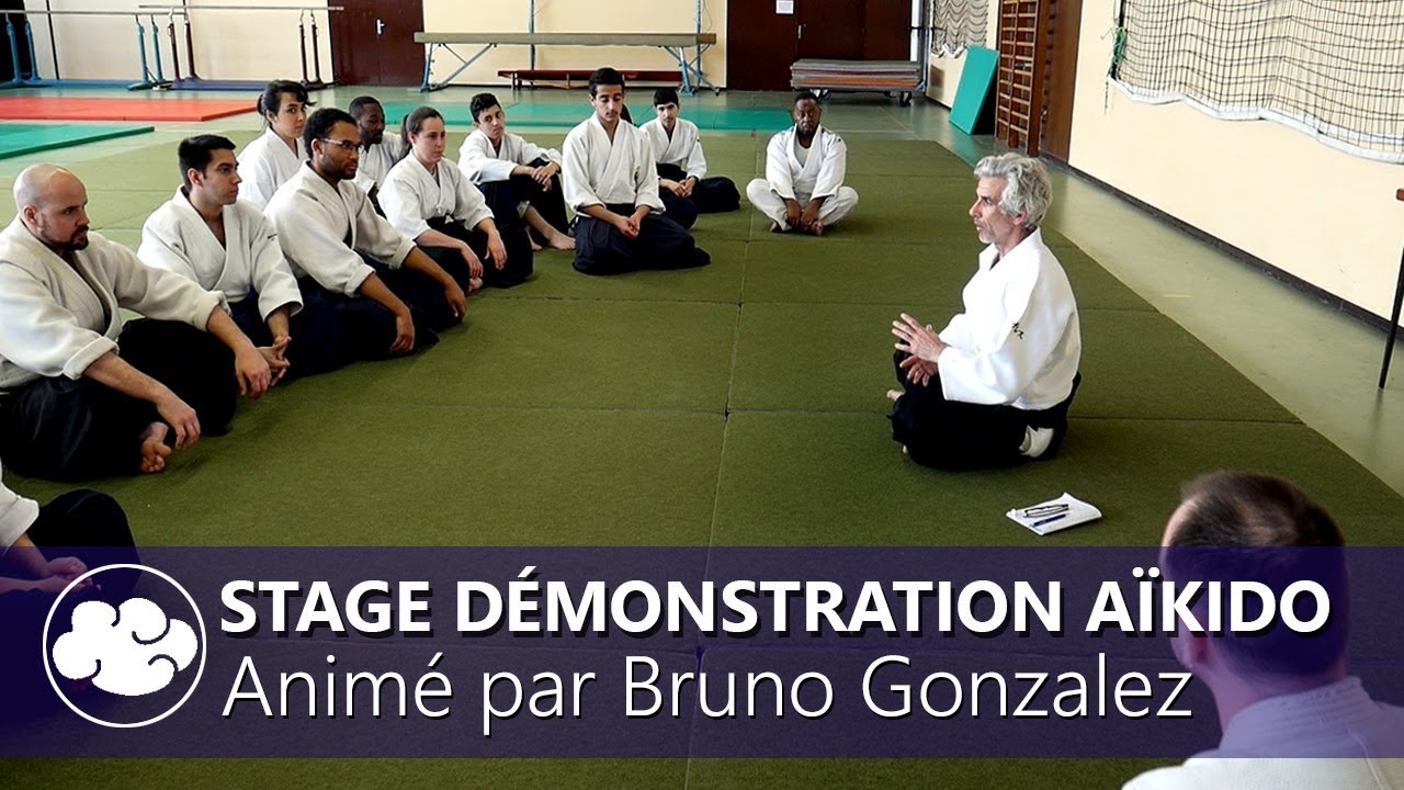 Aïkido stage préparation démonstration animé par Bruno Gonzalez 2019