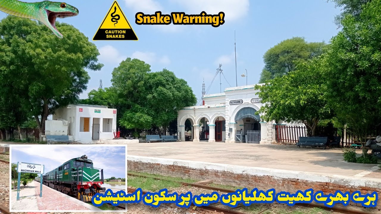 Machianwala Railway Station - A Tranquil Station Between Lush Green Fields | Lodhran - Raiwind Line