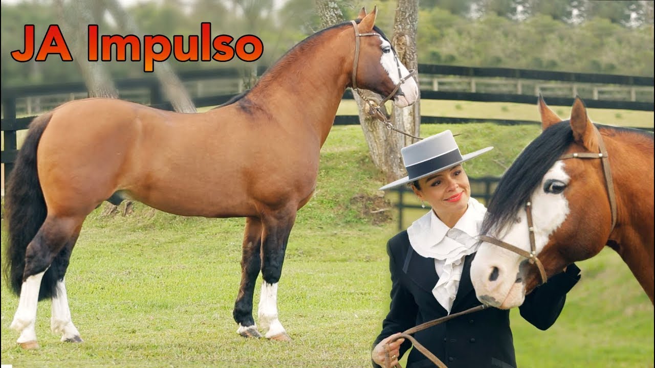 JA IMPULSO na Cabanha Santa F&eacute;