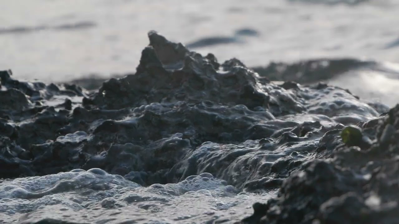 Dark sea coast close up, tracking shot | Free stock footage