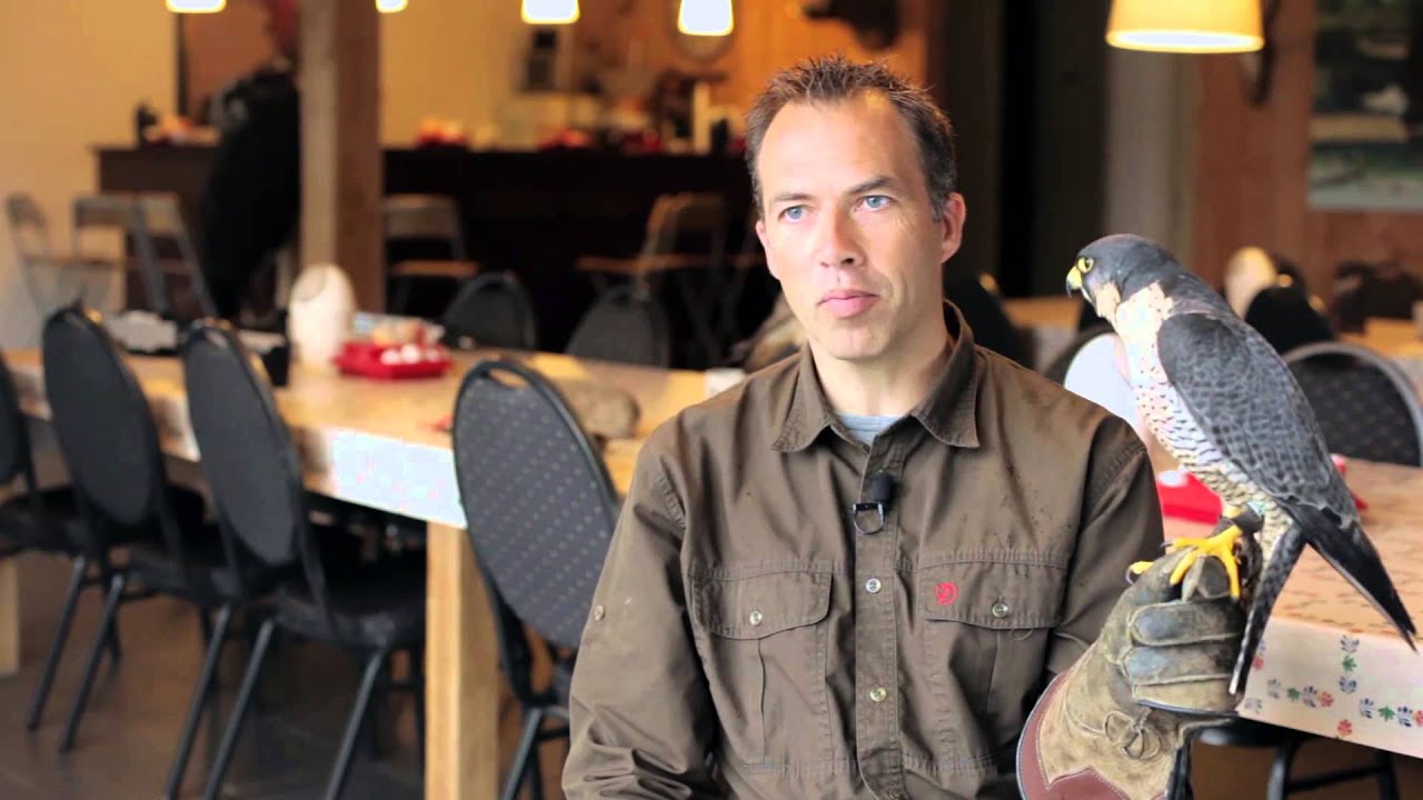 Falconer Ben de Keijzer talks about the peregrine falcon / Ben de Keijzer vertelt over de slechtvalk