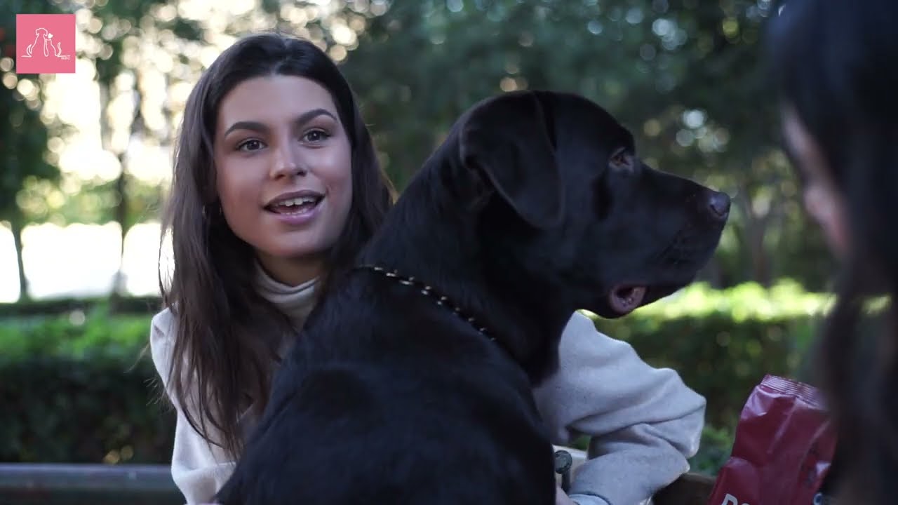 YOUR PET SHOW S2E6 - DANAE PAPPA