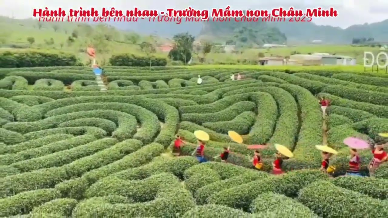 7 tháng 2, 2026