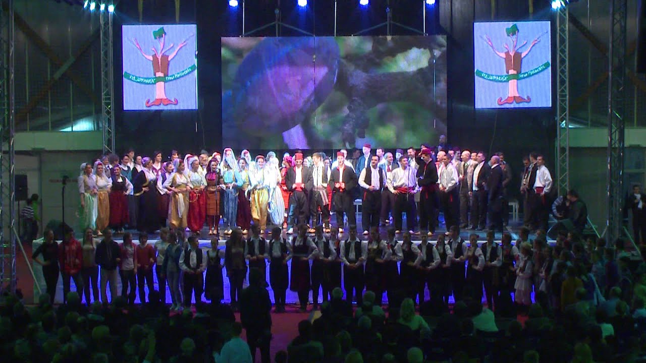 KUD Šumadija 2013. Kude si pošla mori Cveto