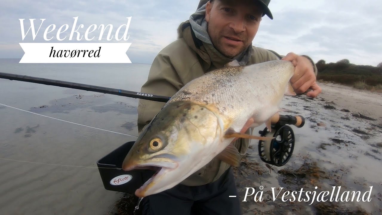 WEEKEND, HAVØRREDFISKERI OG HYGGE MED DRENGENE