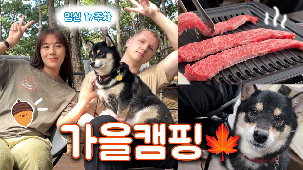 임신 17주차에 배터지게 먹고 온 가을 캠핑 👶🏻🍁ㅣ임신 17주 차, 가평 블루문 캠핑장ㅣ국제커플 VLOG