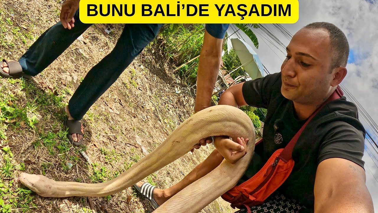 Bali’de Gerçekler! Piton Yılanları, Turist Akını ve En Fakir Köy | 2 Günlük Gerçek Vlog