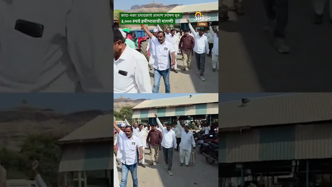 Onion MSP: चांदवडमध्ये आमरण उपोषण सुरू; कांद्याला 3,000 रुपये हमीभावाची मागणी | Agrowon