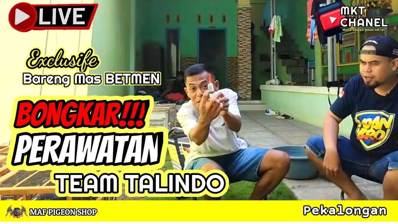 🔴BLAK BLAKAN ‼️BONGKAR POLA PERAWATAN TEAM TALINDO