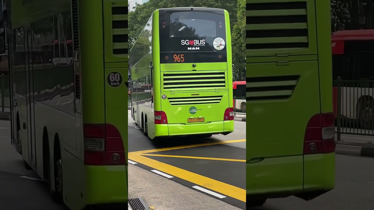 Tower Transit Man A95 Gemilang SG5784B On Service 965
