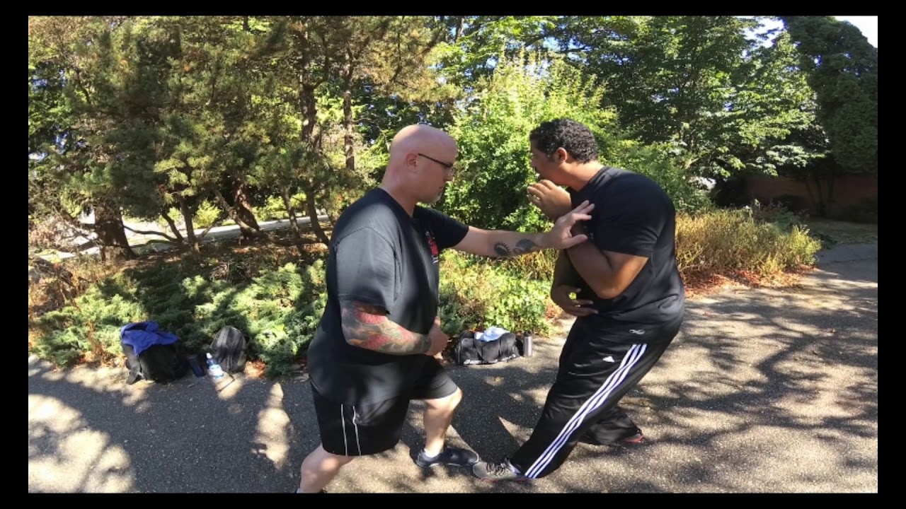 Tai Chi Push Hands in Xing Yi Style