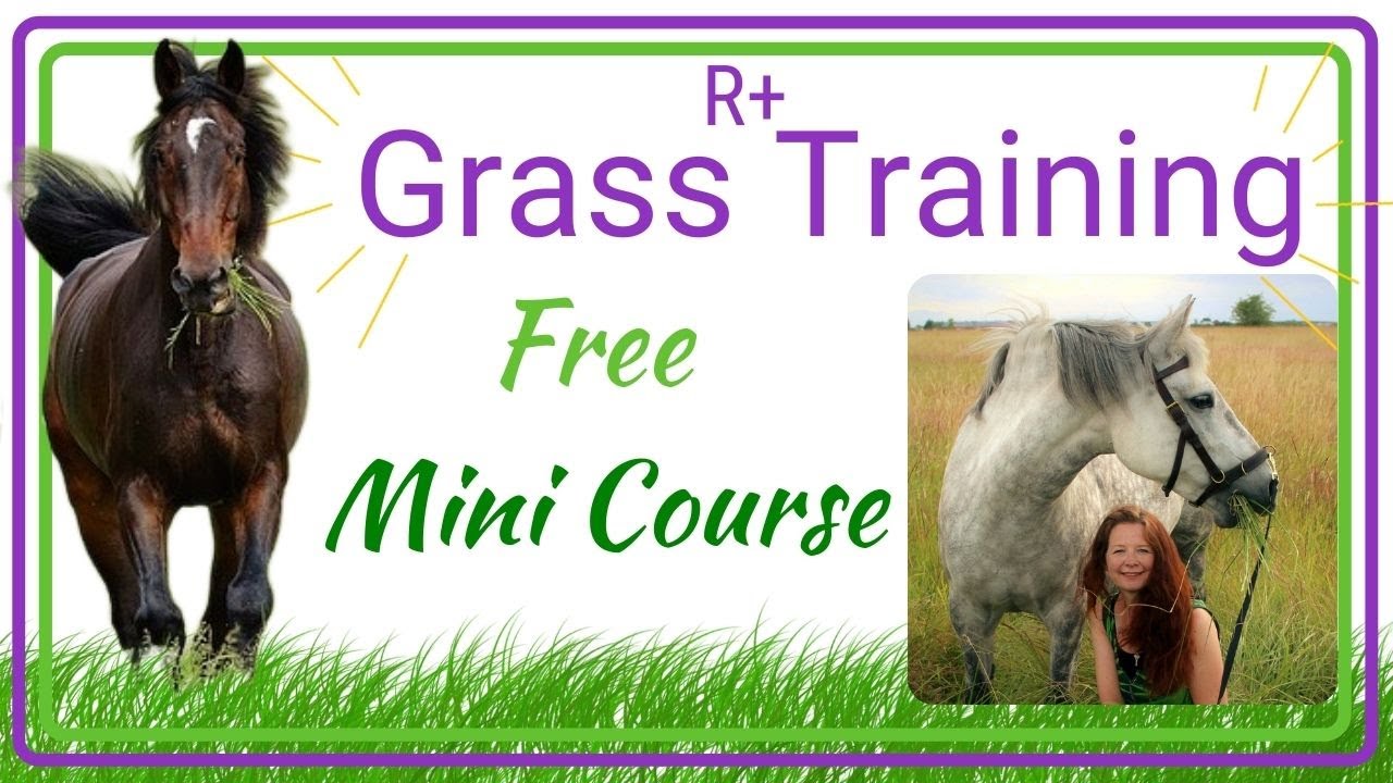 Grass Training  by HippoLogic: Teach your horse to Stop Grass Diving and  Ignore Grass on CUE