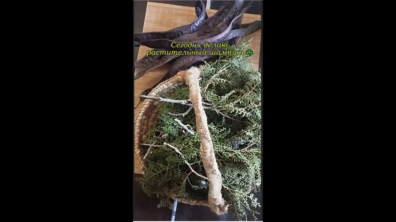 Натуральный растительный шампунь