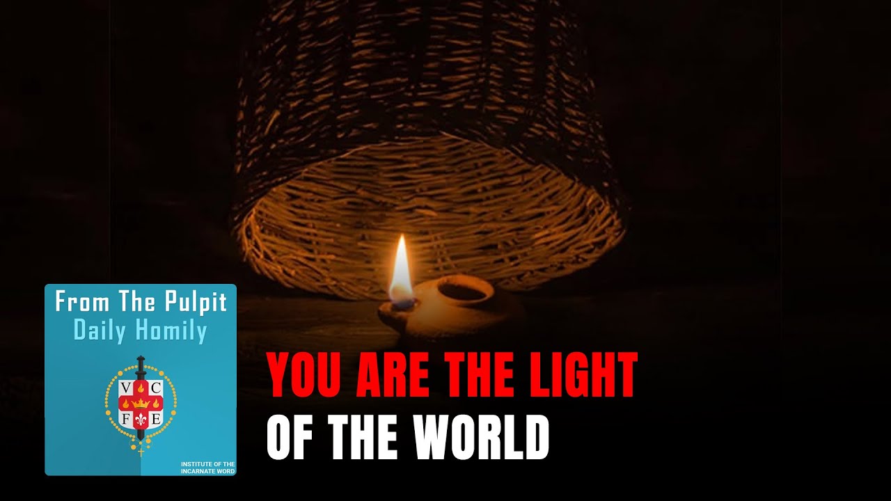 Daily IVE Homilies, January 29th, 2026 - You are the light of the world.