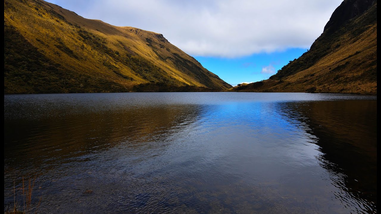 Documental: El Agua de los Paramos y bosques de neblina