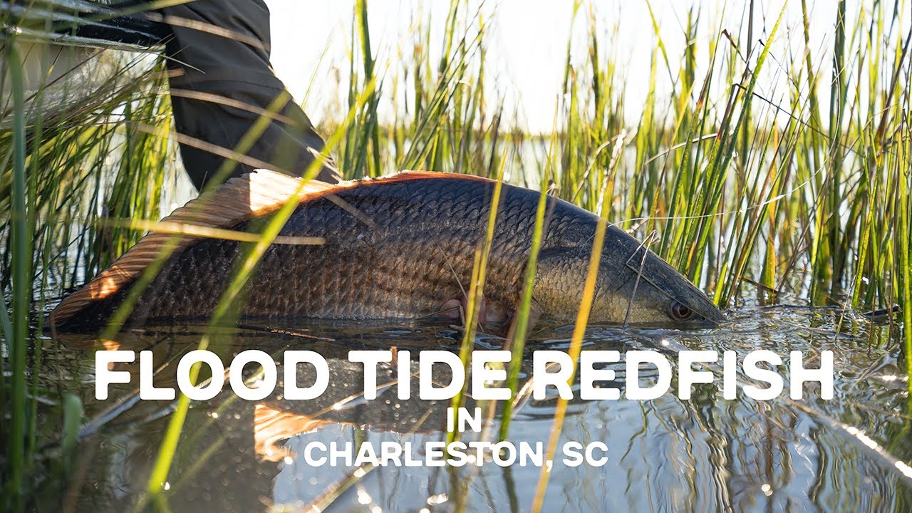 Flood Tide Redfish in Charleston, SC | Lost & Wandering Vol. 2