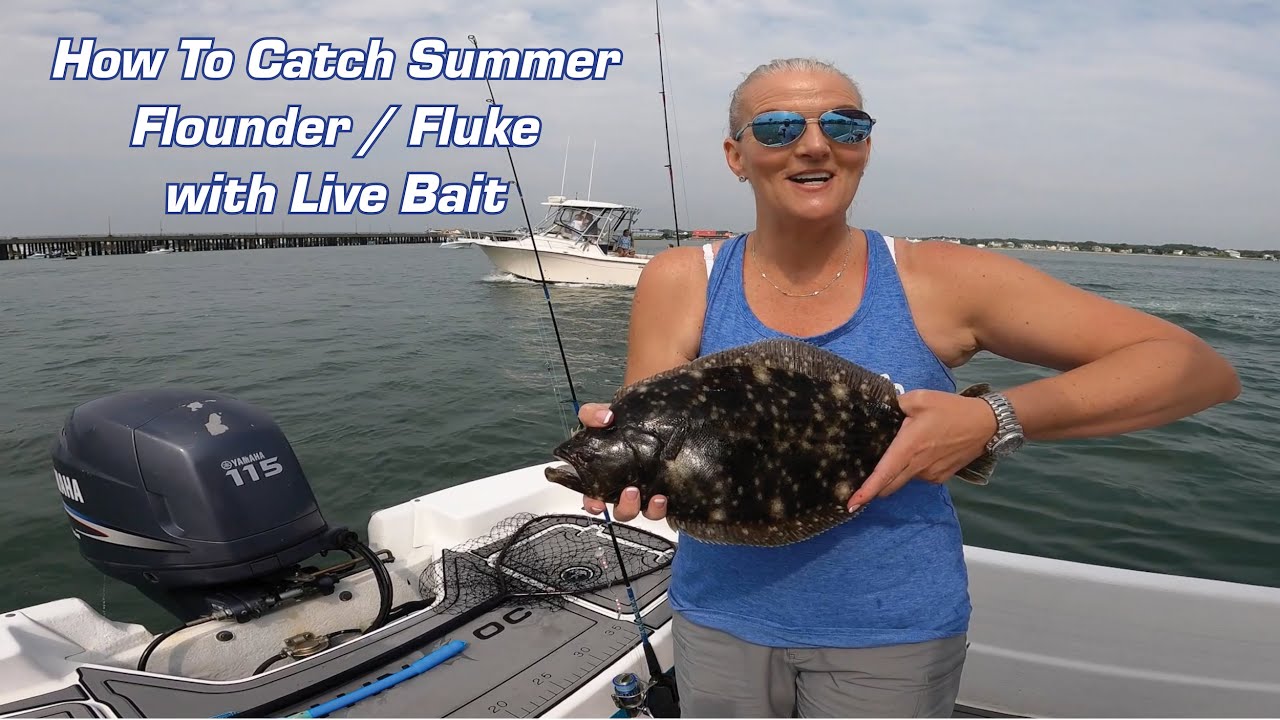 How To Catch Summer Flounder / Fluke with Live Bait - Castnetting Bait, Fishing Tips & Techniques