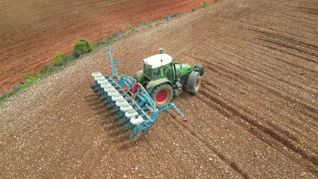 Monosem 11 botes      CAMPAÑA 2025 girasol 🌻