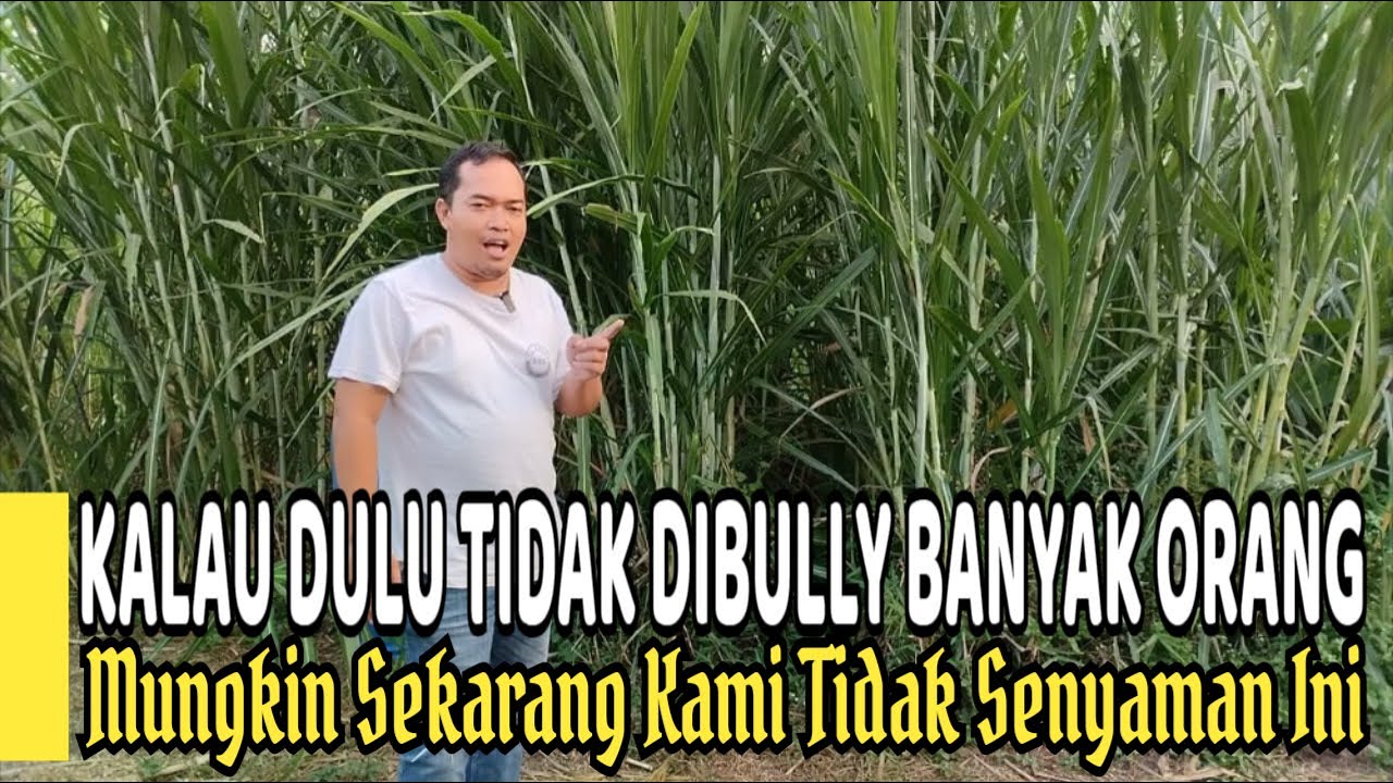 Kalau Dulu Tidak DiBully Banyak Orang, Mungkin Sekarang Mungkin Sekarang Kami Tidak Senyaman Ini