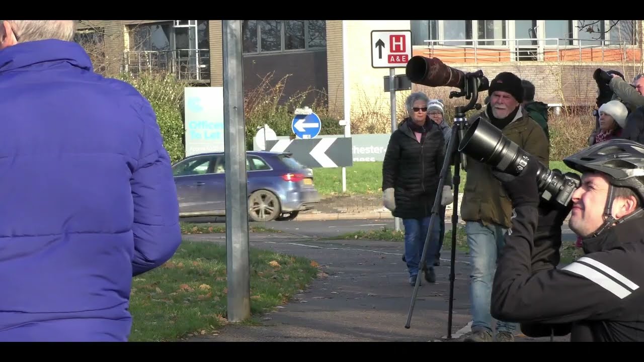 Twitchers