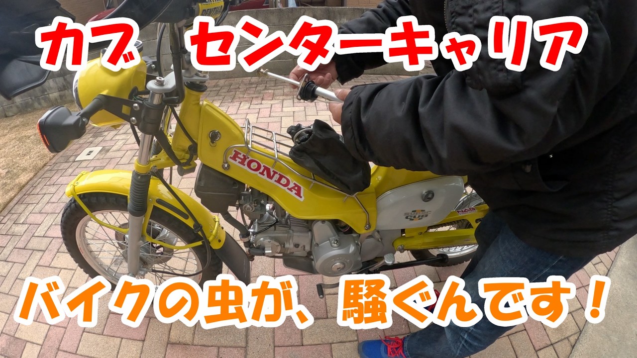 カブ　センターキャリア