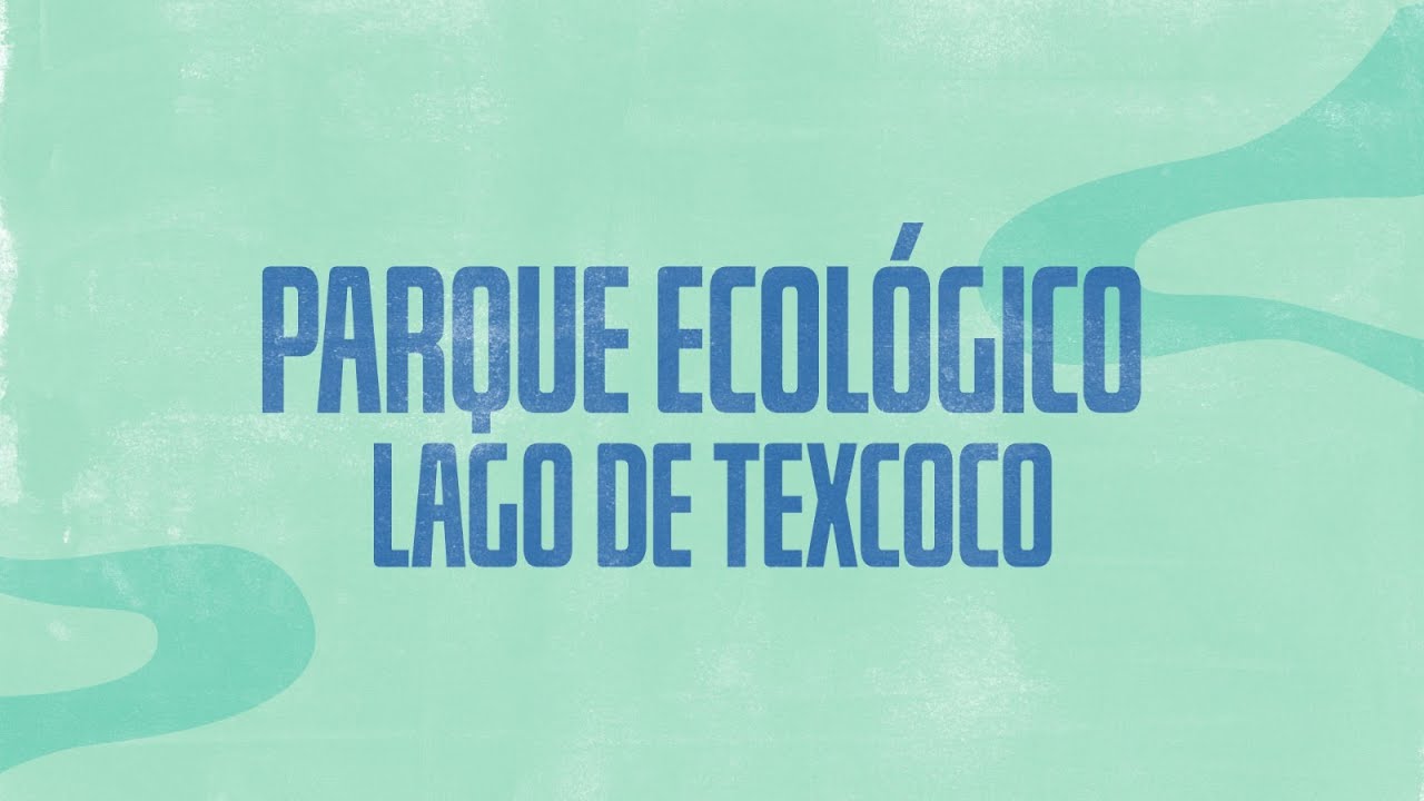 Caminar el País | Parque ecológico Lago de Texcoco