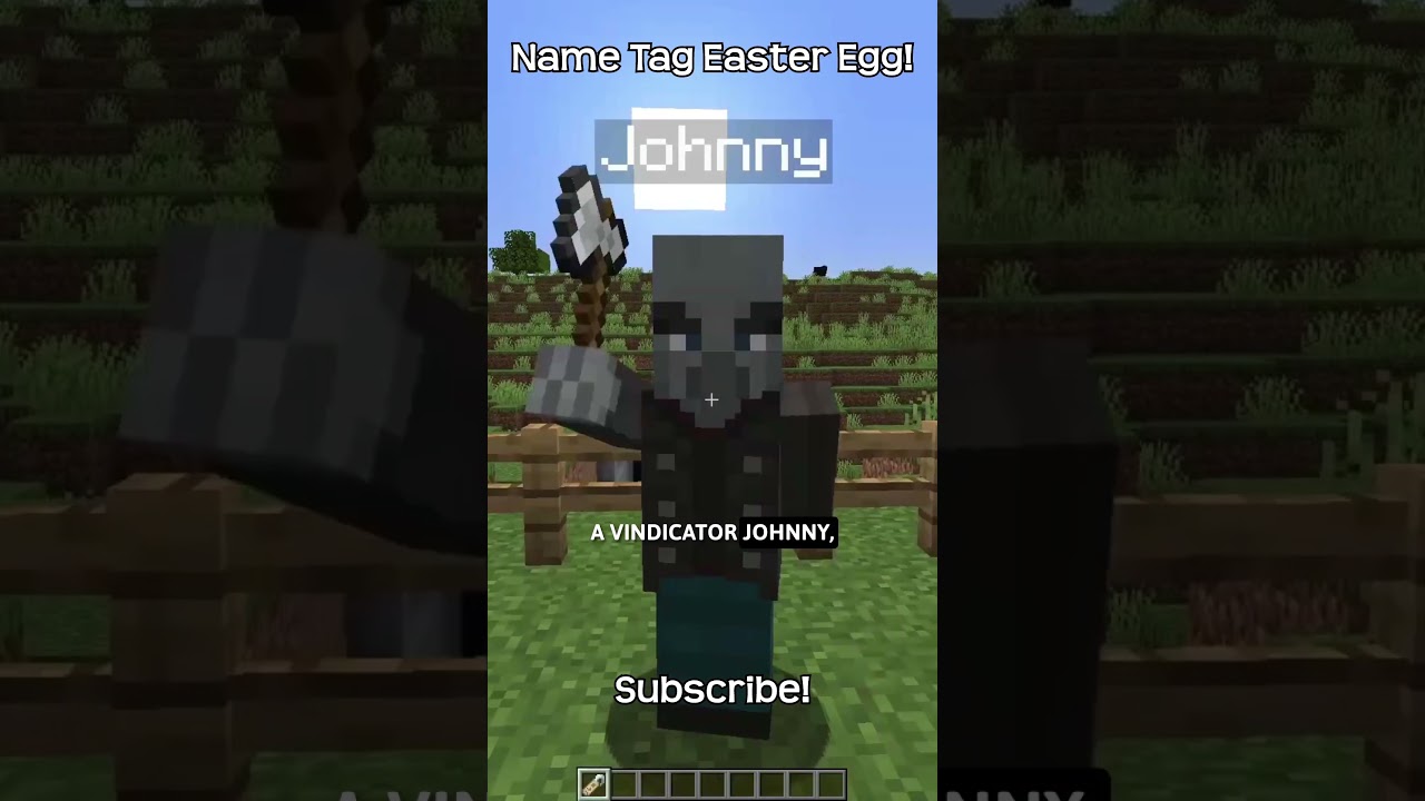 Do Not!!! Name A Vindicator Johnny In Minecraft!