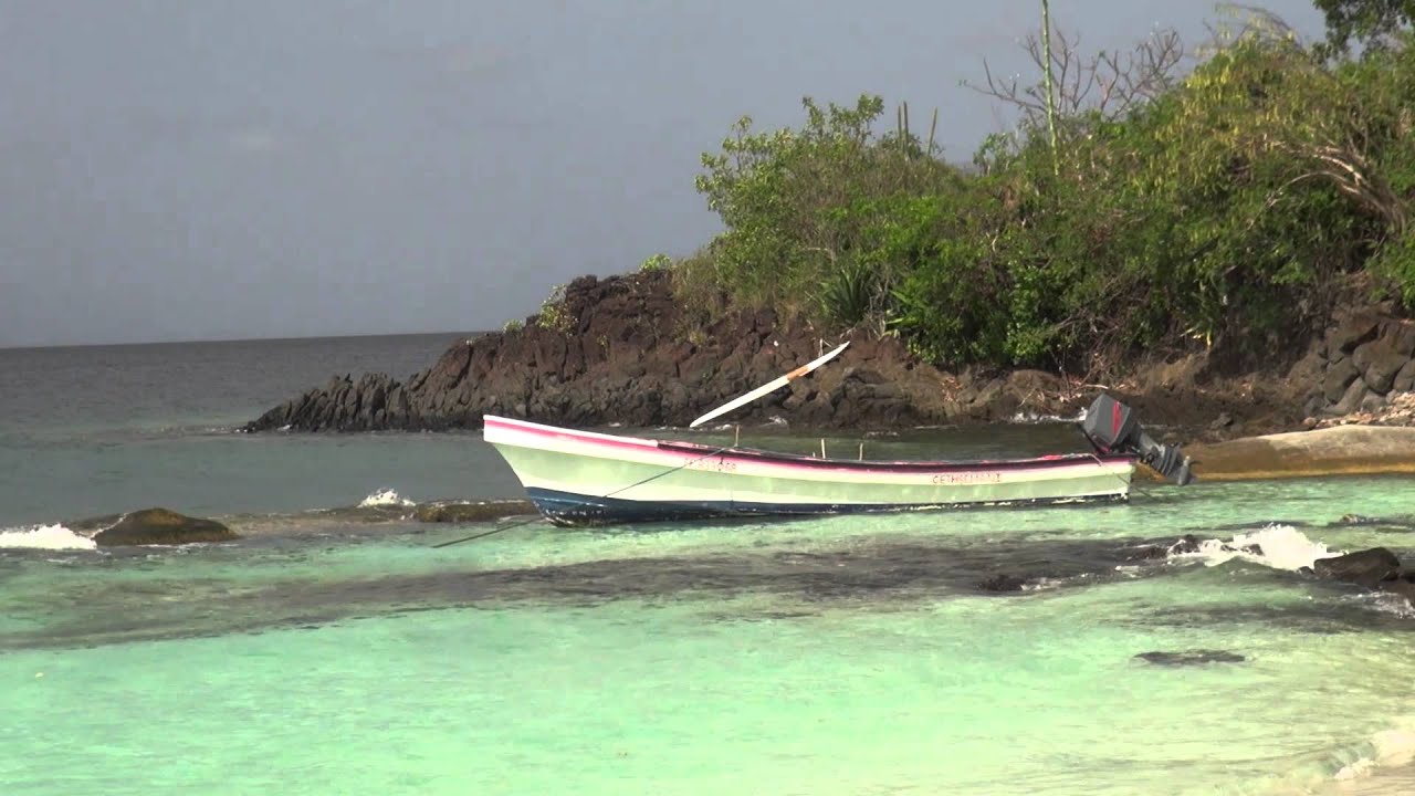 Martinique : Anse Figuier