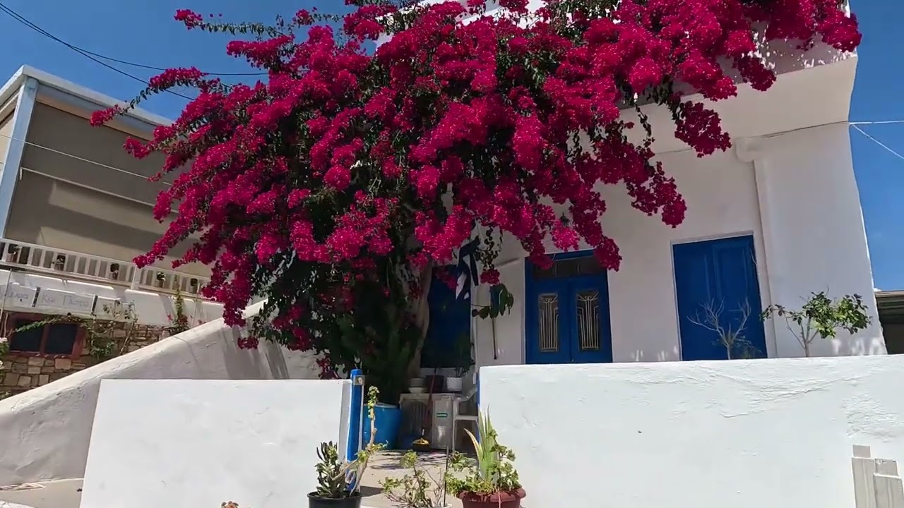 Koufonisia #Greece🇬🇷