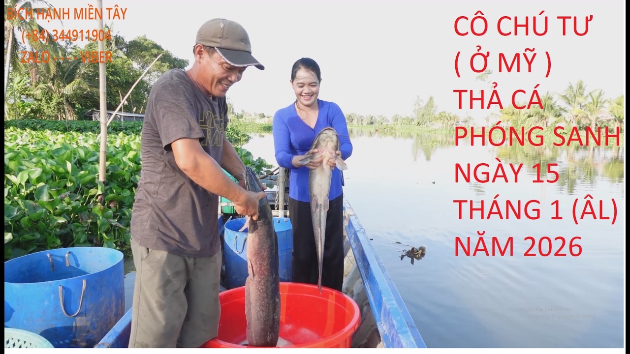 1375  CÔ CHÚ TƯ (Ở MỸ) THẢ CÁ PHÓNG SANH - NGÀY 15 THÁNG 1 (ÂL) NĂM 2026 | BHMT