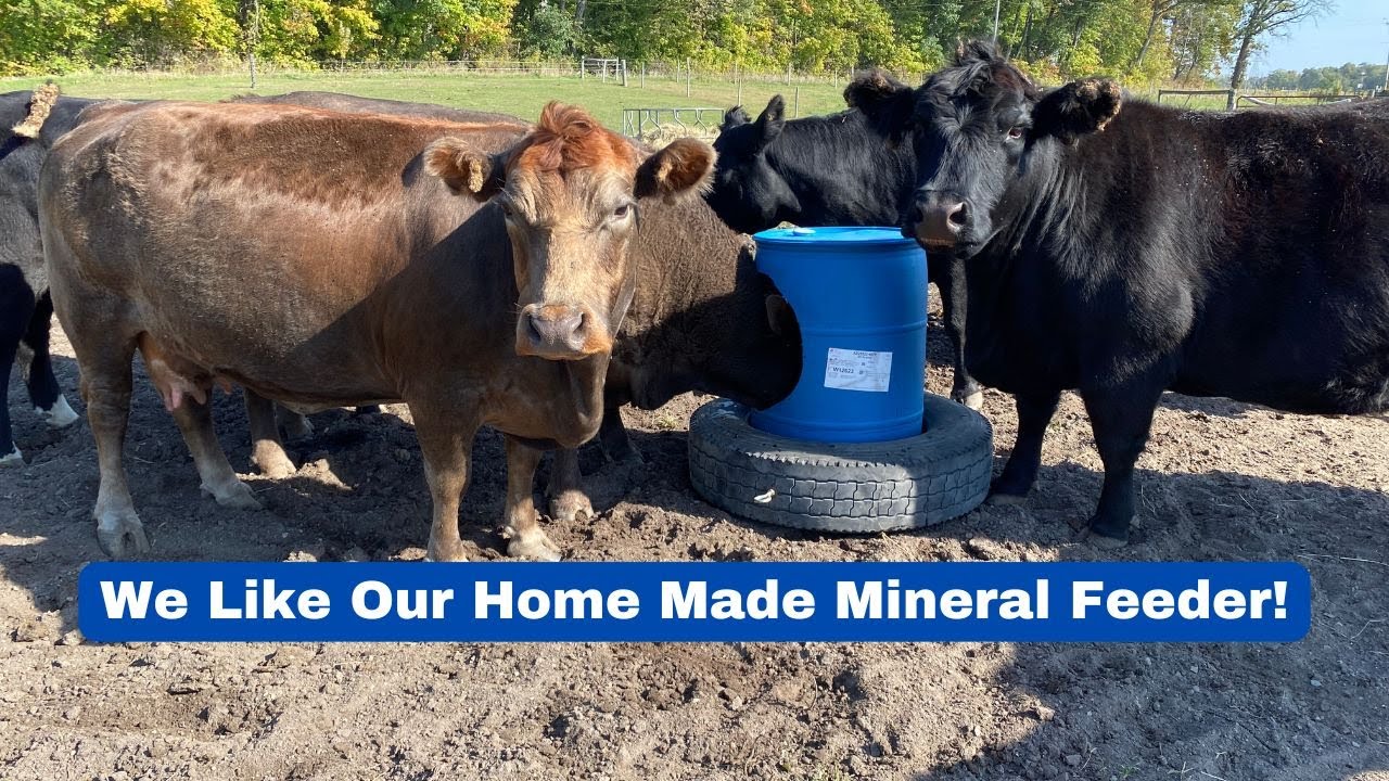 DIY Cattle Mineral Feeder